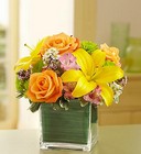 Fields of Europe in Cube Vase